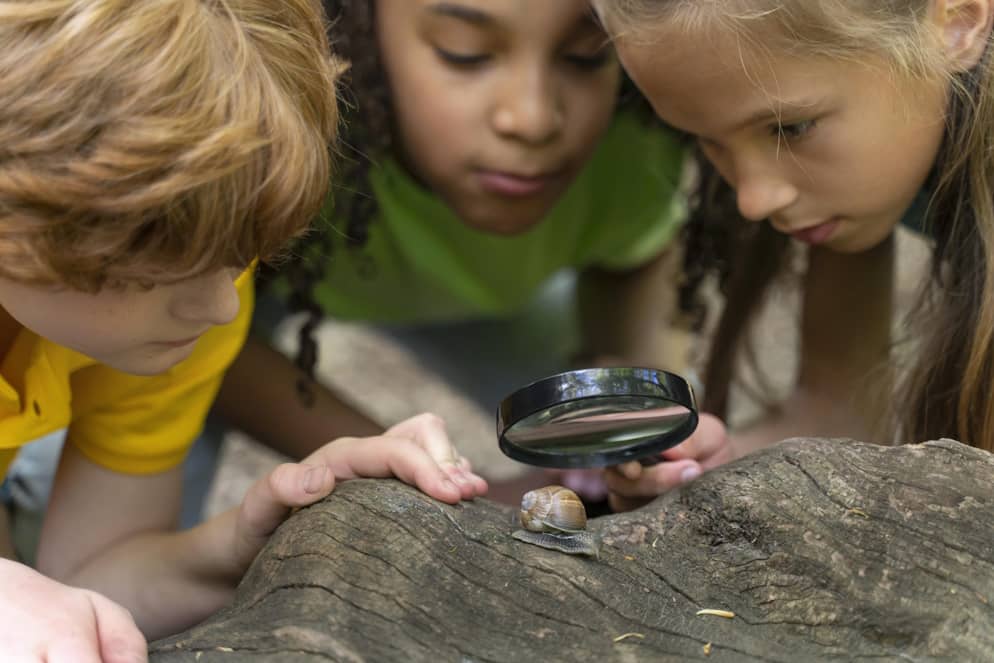 3 children examining a snail on a grey rock.